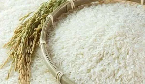 خرید و قیمت انواع برنج طارم شمال