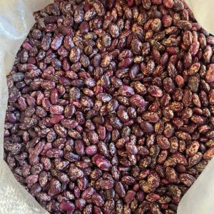 لوبیا