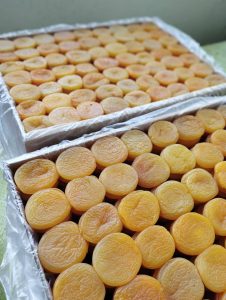 قیصی