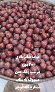 عناب خراسان