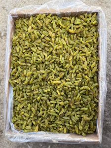 کشمش سبز  ممتاز کاشمری